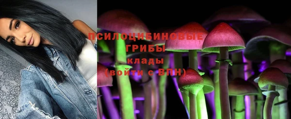 гидра Верея