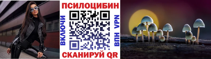 Псилоцибиновые грибы Psilocybe  Северобайкальск 